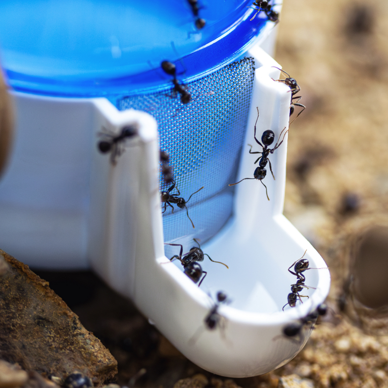 Tränke 45ml - 65mm - blau